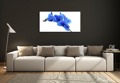 Wall art on glass Blue orchid