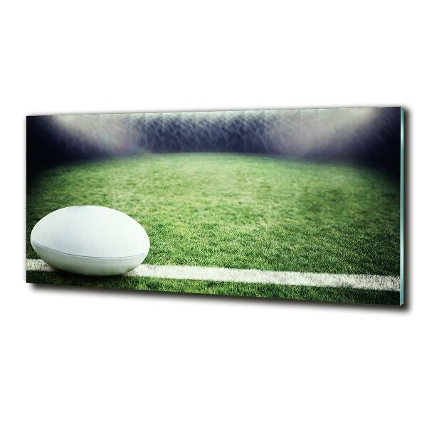 Wall art on glass Rugby ball