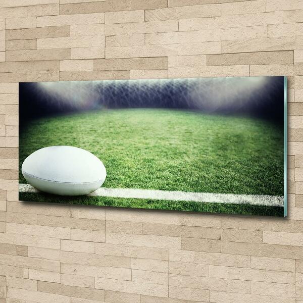 Wall art on glass Rugby ball