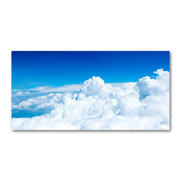 Photo printed on glass Bird's flight clouds