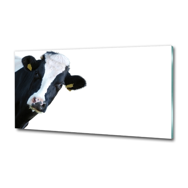 Wall art on glass Cow