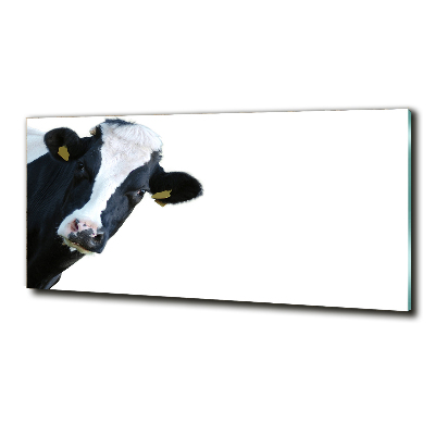 Wall art on glass Cow