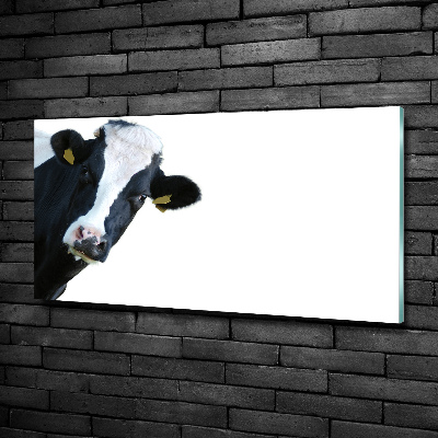 Wall art on glass Cow