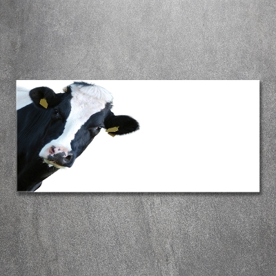 Wall art on glass Cow