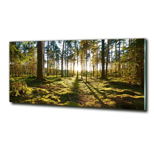 Glass art picture A pine forest