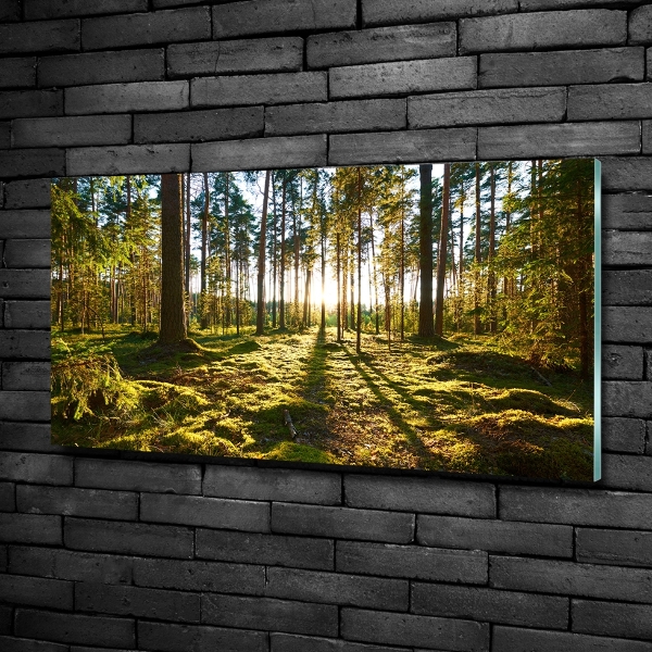 Glass art picture A pine forest