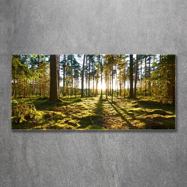 Glass art picture A pine forest