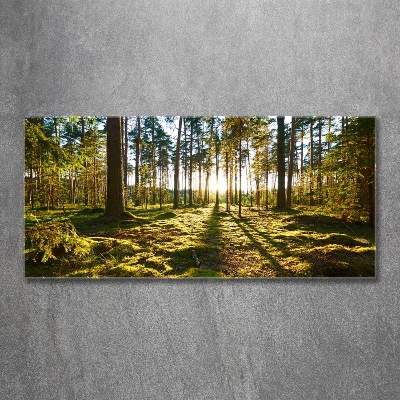 Glass art picture A pine forest