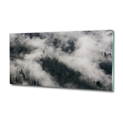 Photo printed on glass Fog over the forest