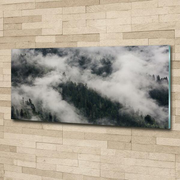 Photo printed on glass Fog over the forest