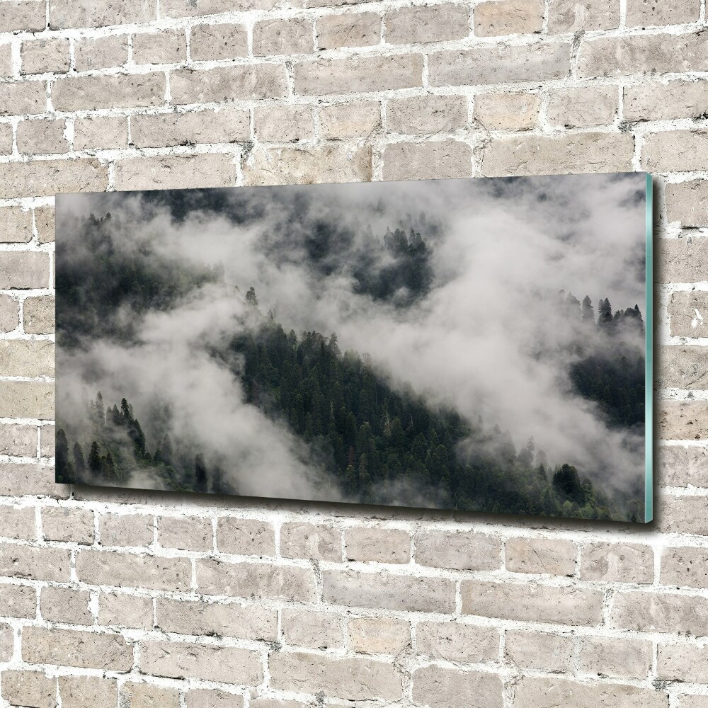 Photo printed on glass Fog over the forest