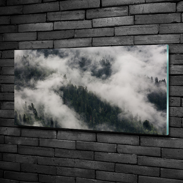 Photo printed on glass Fog over the forest