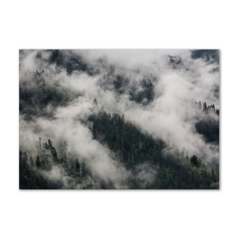 Photo printed on glass Fog over the forest