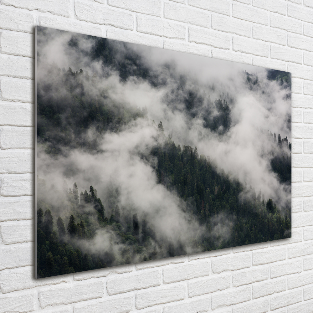 Photo printed on glass Fog over the forest