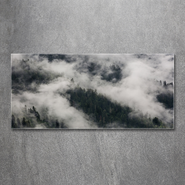 Photo printed on glass Fog over the forest