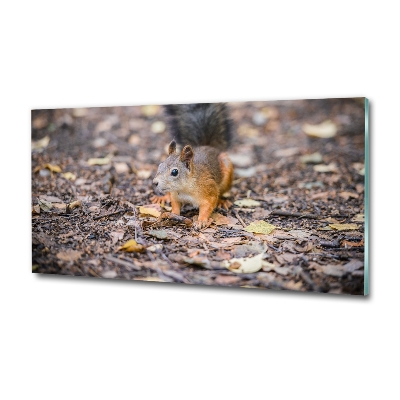 Glass art print Squirrel