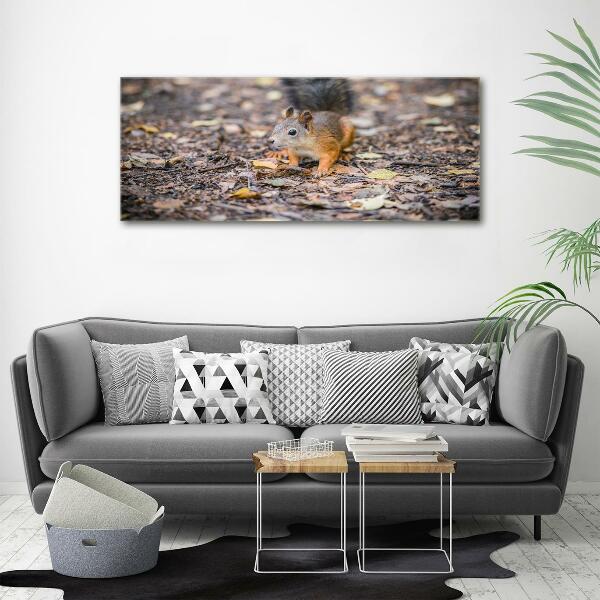 Glass art print Squirrel