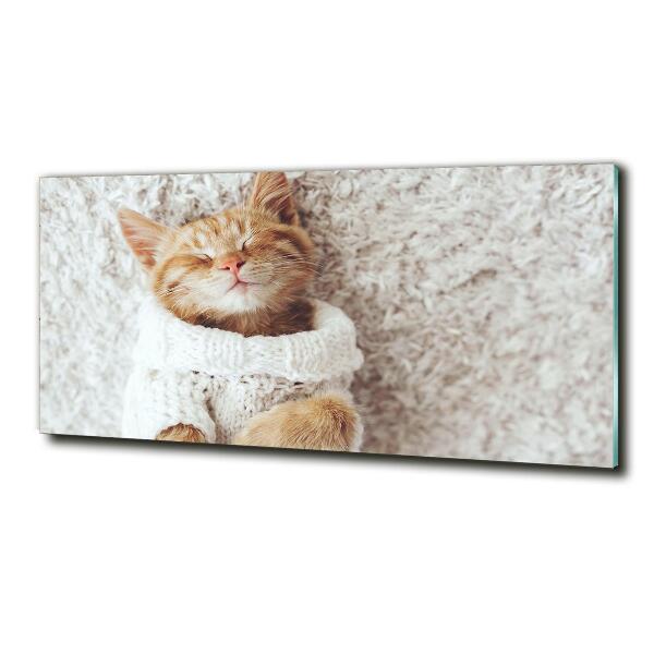 Wall art on glass A kitten in a sweater