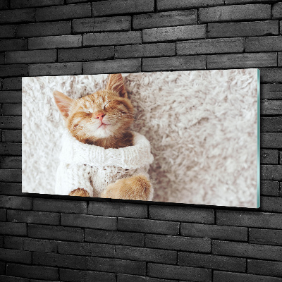 Wall art on glass A kitten in a sweater