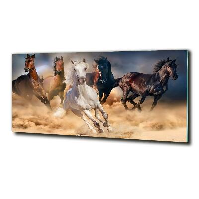 Glass art print Horses at gallop