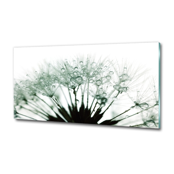 Wall art on glass Dandelion seeds