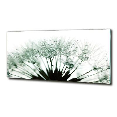 Wall art on glass Dandelion seeds