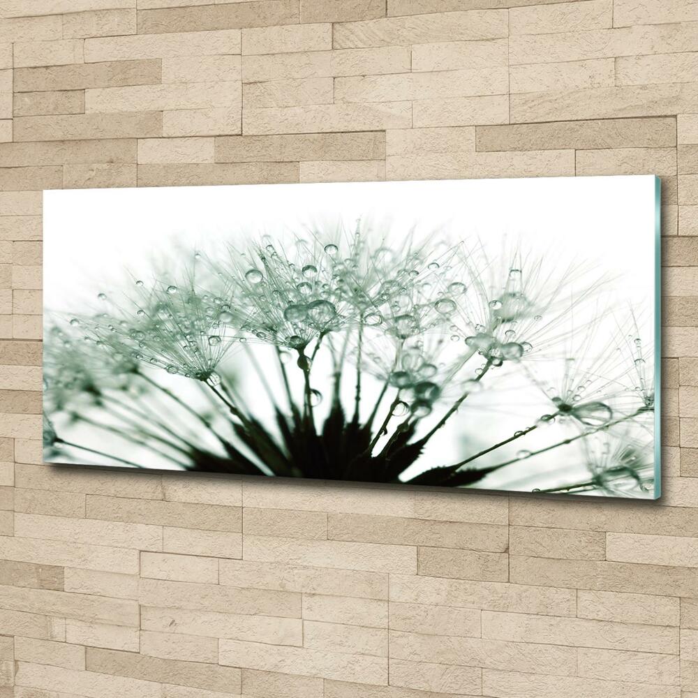 Wall art on glass Dandelion seeds