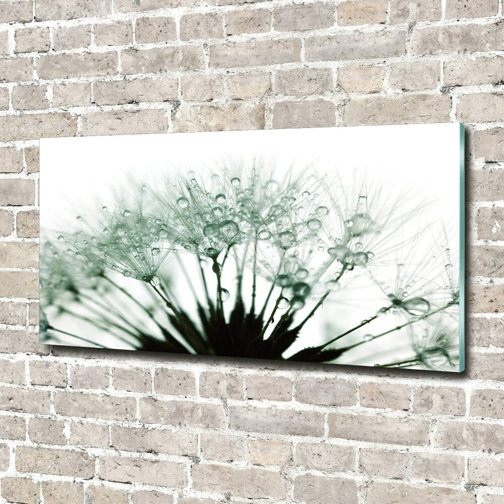 Wall art on glass Dandelion seeds