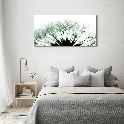 Wall art on glass Dandelion seeds