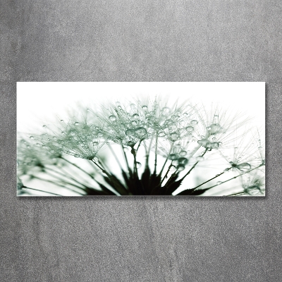 Wall art on glass Dandelion seeds