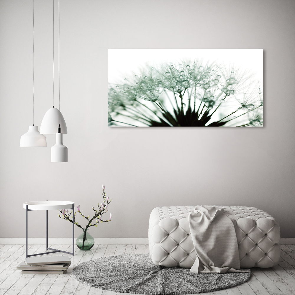 Wall art on glass Dandelion seeds