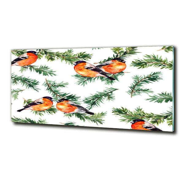 Glass picture wall art Robin on the conifer