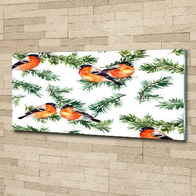 Glass picture wall art Robin on the conifer