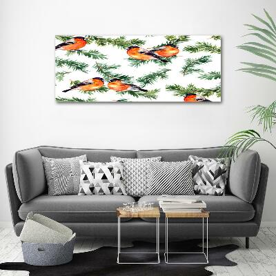 Glass picture wall art Robin on the conifer