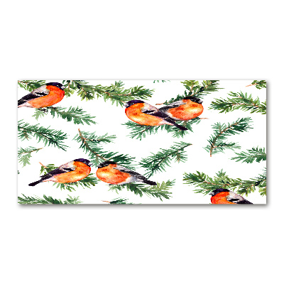 Glass picture wall art Robin on the conifer