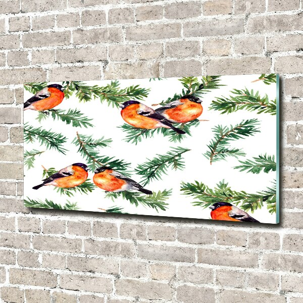 Glass picture wall art Robin on the conifer