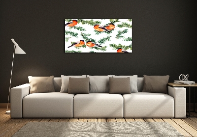 Glass picture wall art Robin on the conifer