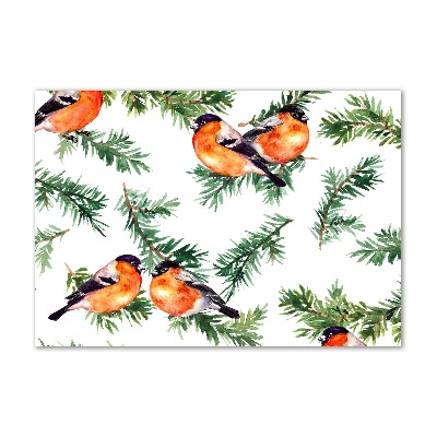 Glass picture wall art Robin on the conifer