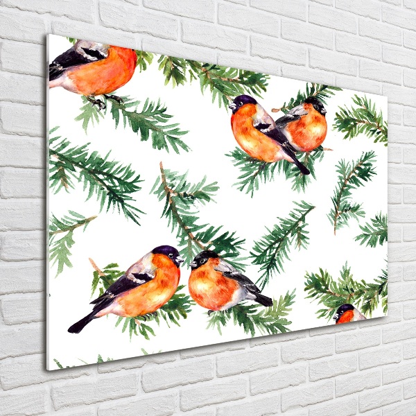 Glass picture wall art Robin on the conifer