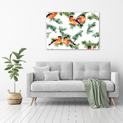 Glass picture wall art Robin on the conifer