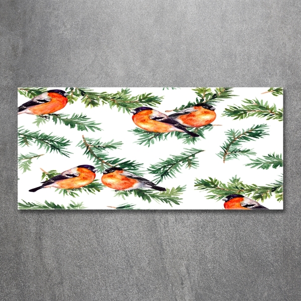 Glass picture wall art Robin on the conifer