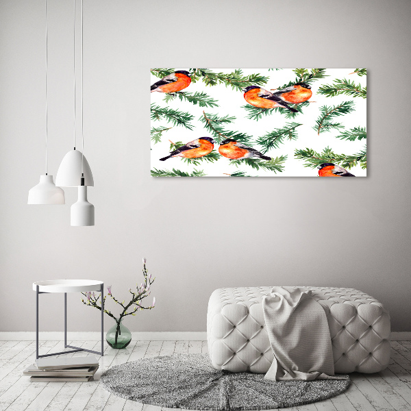 Glass picture wall art Robin on the conifer