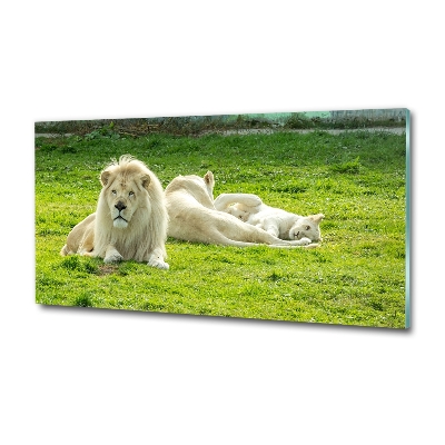 Wall art on glass Beige lions