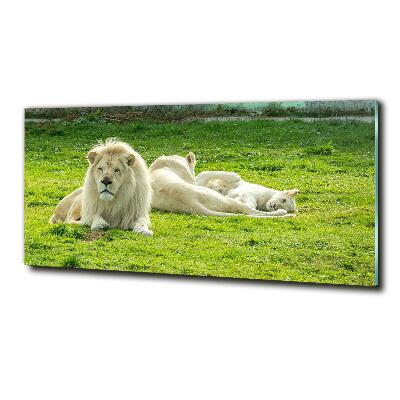 Wall art on glass Beige lions