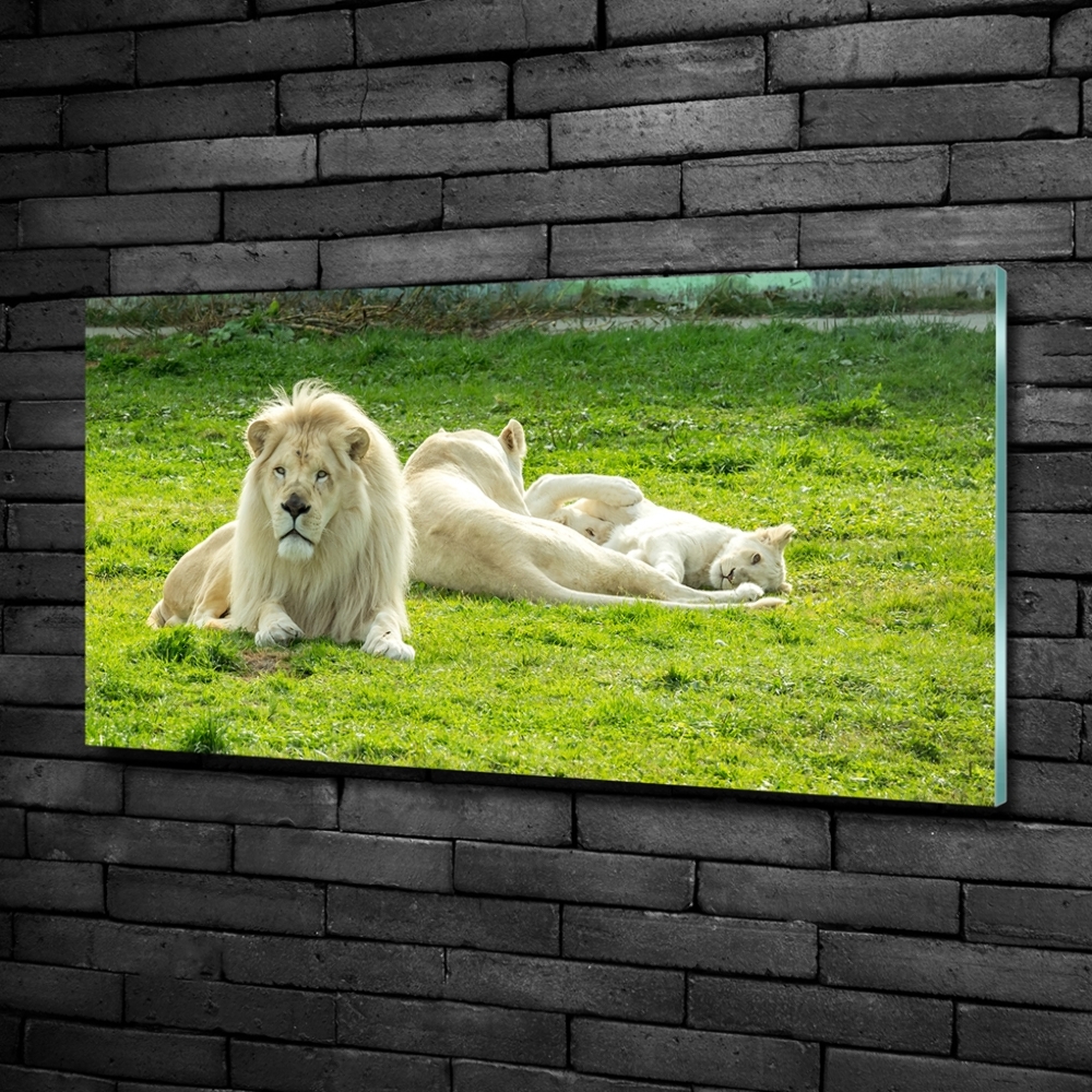 Wall art on glass Beige lions