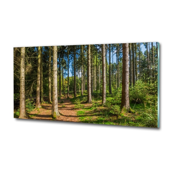 Photo printed on glass Panorama of the forest