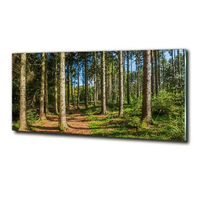 Photo printed on glass Panorama of the forest