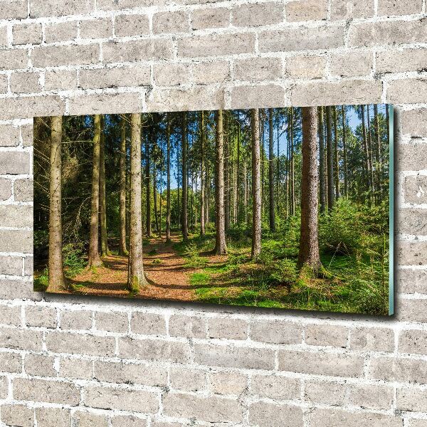 Photo printed on glass Panorama of the forest