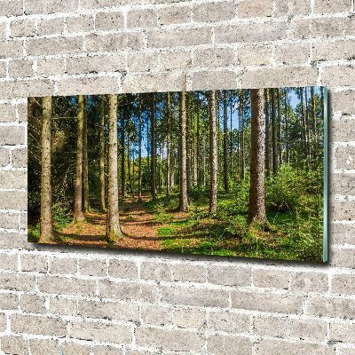 Photo printed on glass Panorama of the forest