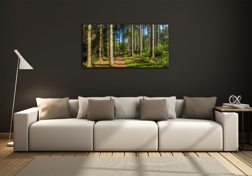 Photo printed on glass Panorama of the forest